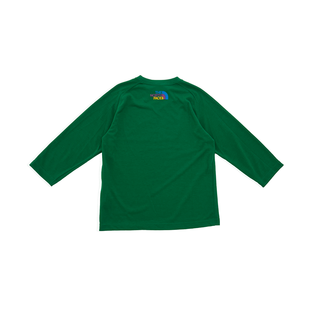 The north face tek tee