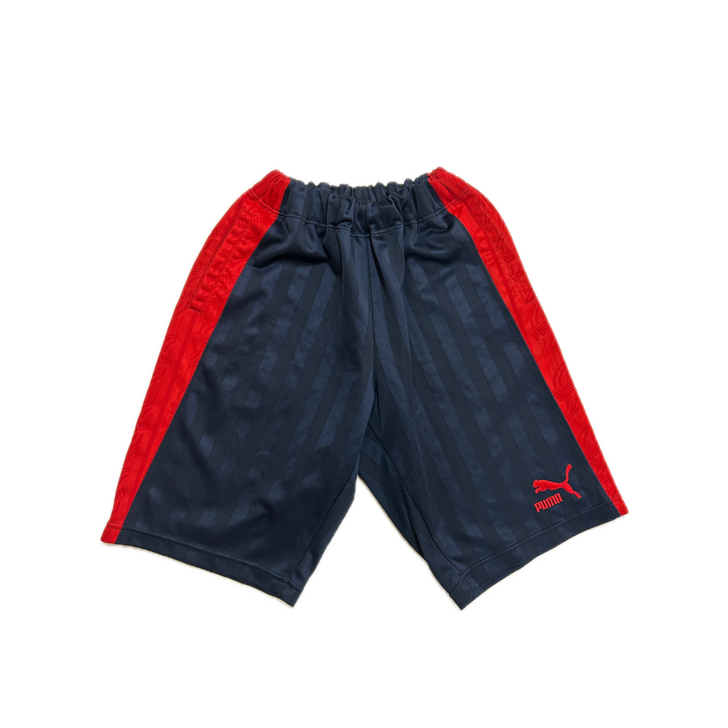 Puma basketball shorts